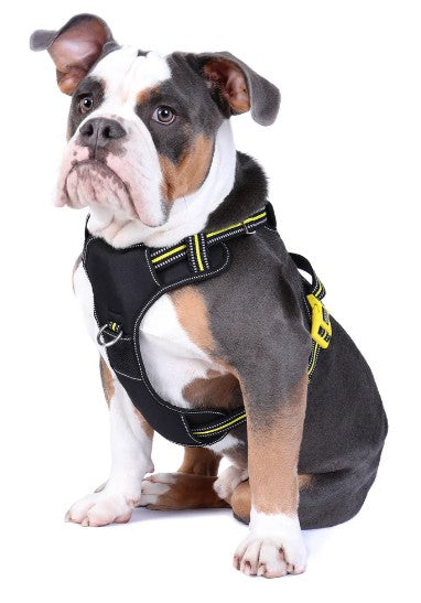 DOOG DOG HARNESS BOLT M