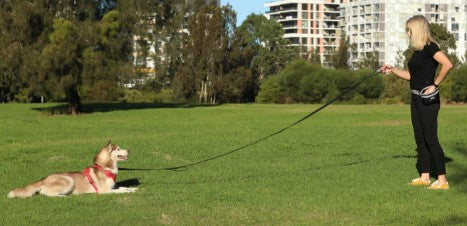 DOOG TRAINING LEASH XL