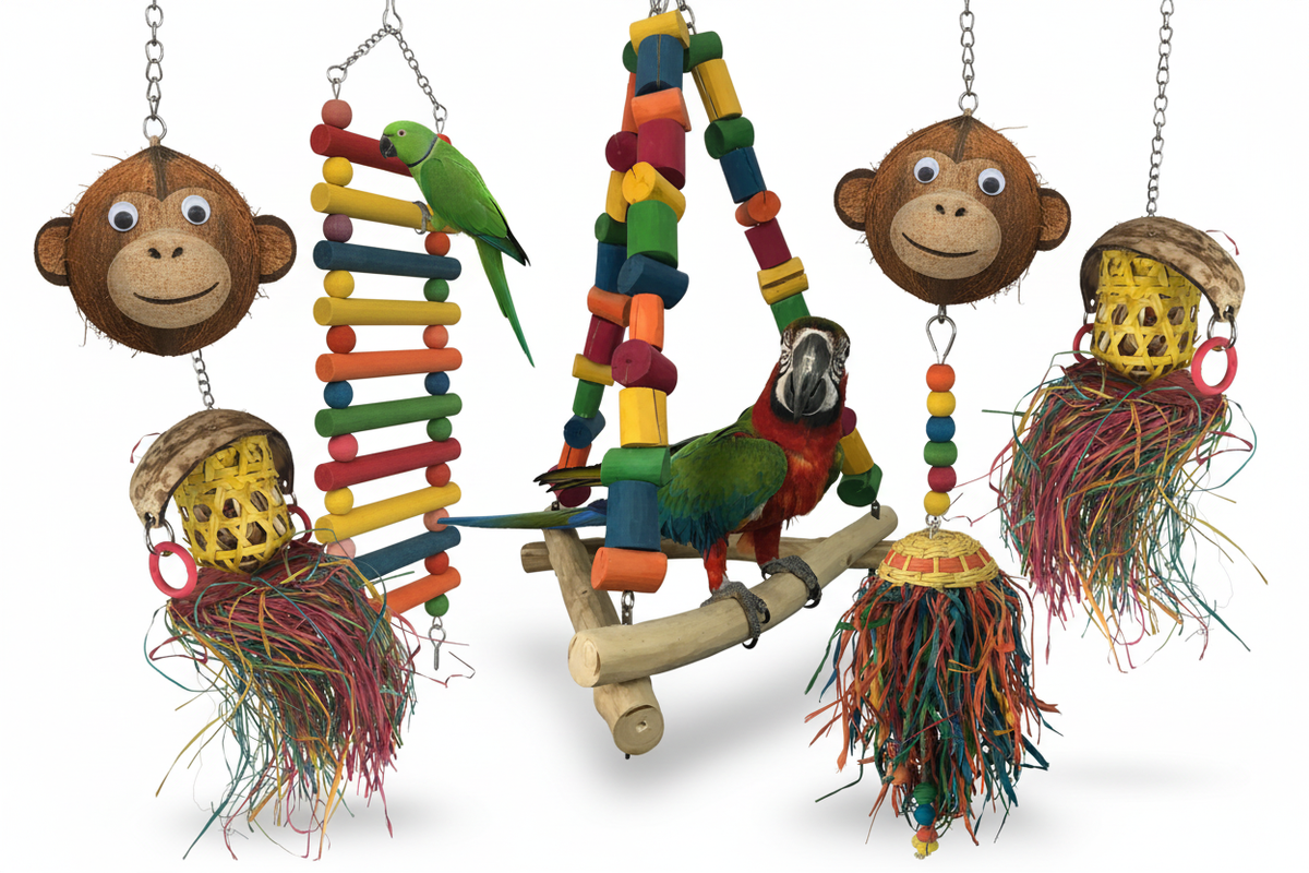 Bird Toys/Enrichment