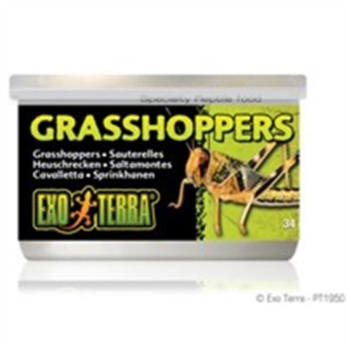 EXO TERRA CANNED GRASSHOPPERS FOR REPTILE 34G