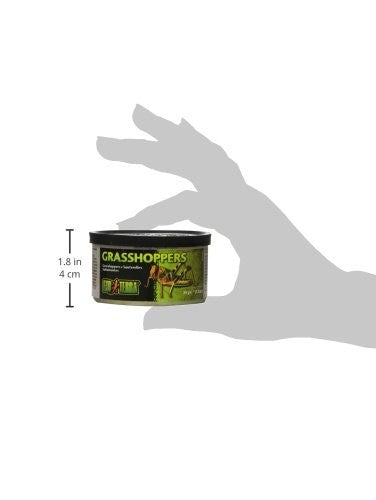 EXO TERRA CANNED GRASSHOPPERS FOR REPTILE 34G