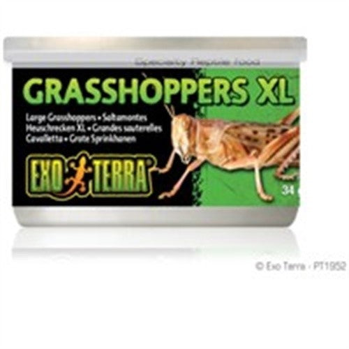 EXO TERRA WILD GRASSHOPPERS XL 34GM 1.2OZ