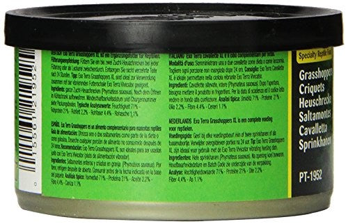 EXO TERRA WILD GRASSHOPPERS XL 34GM 1.2OZ