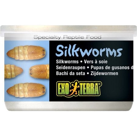 EXO TERRA WILD SILKWORMS MEDIUM 34G 1.2OZ