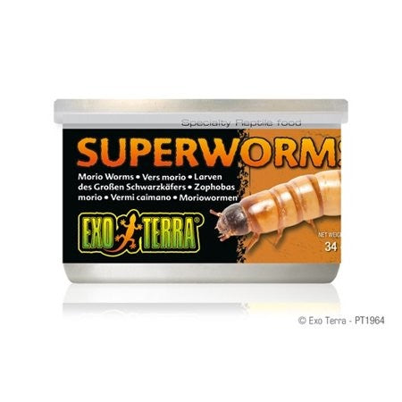 EXO TERRA CANNED SUPERWORMS 34G