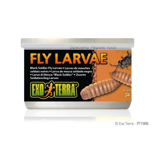 Exo Terra Canned Black Soldier Fly Larvae Specialty Reptile Food 1.2 Oz