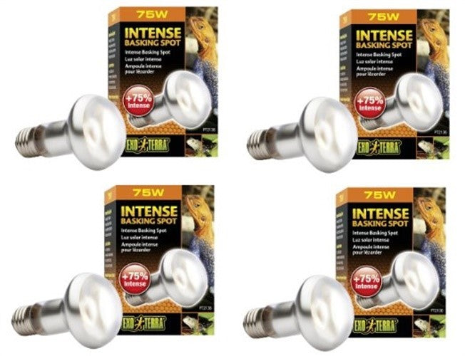 EXO TERRA INTENSE BASKING SPOT 75W