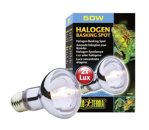 EXO TERRA HALOGEN BASKING LAMP 50 WATT