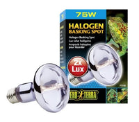 EXO TERRA HALOGEN BASKING LIGHT 75 WATT