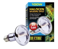 EXO TERRA HALOGEN BASKING LAMP 100 WATT