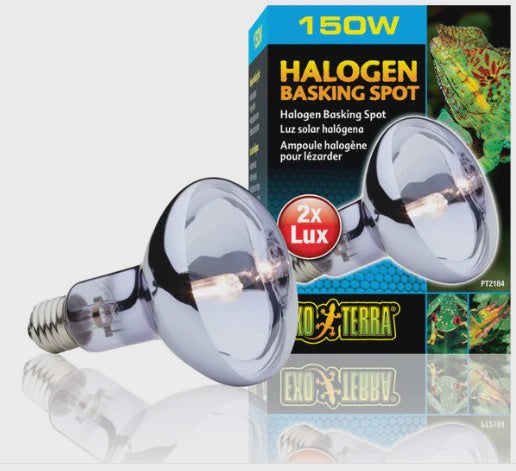 EXO TERRA HALOGEN BASKING LAMP 150W
