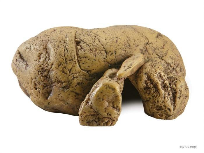 EXO TERRA MEDIUM REPTILE HIDE CAVE