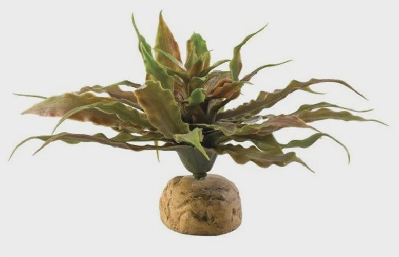 EXO TERRA STAR CACTUS PLANT