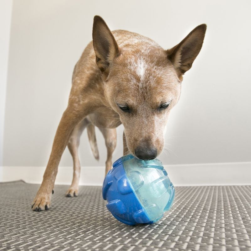 KONG REWARDS TREAT BALL LARGE