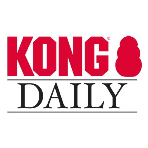 KONG DAILY NEWSPAPER XL