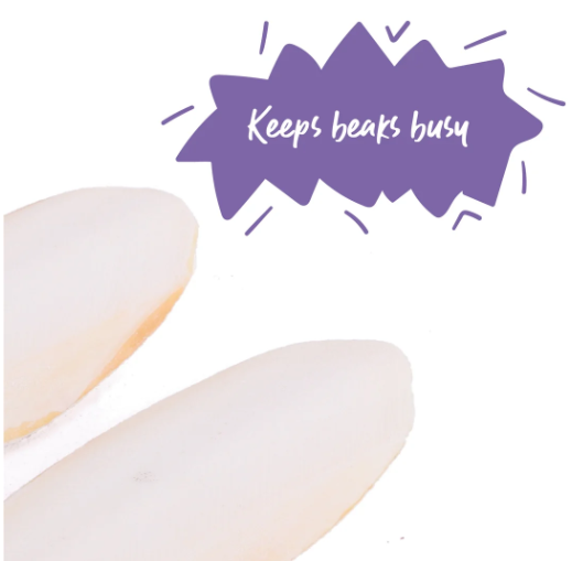 KAZOO CUTTLEBONE NATURAL