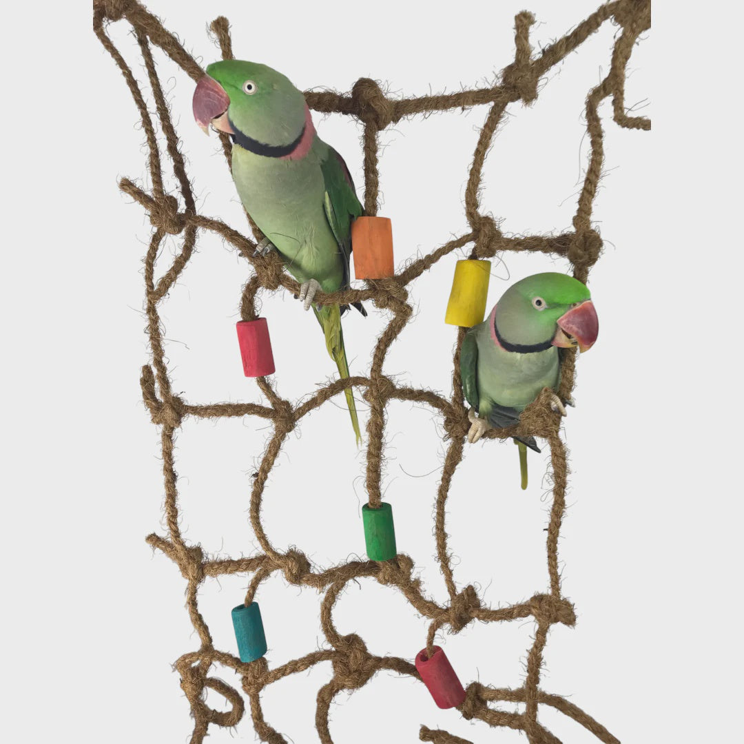 NINOS JAVA CARGO NET MEDIUM