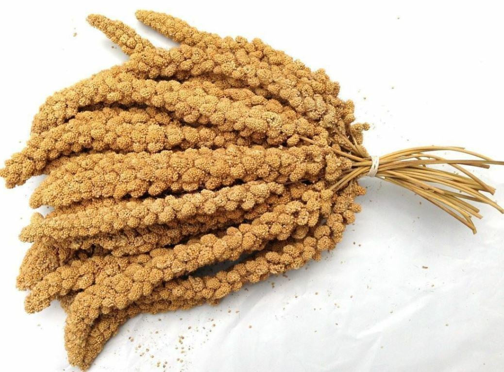 MILLET SPRAY 400G