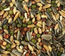 SPROUTING MIX 1KG