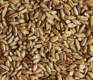 WHEAT 1KG