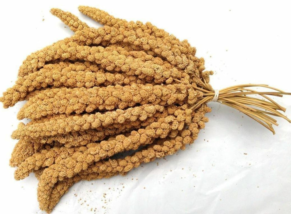 MILLET SPRAY 1KG