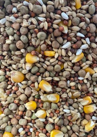 GPP PIGEON MIX 2KG