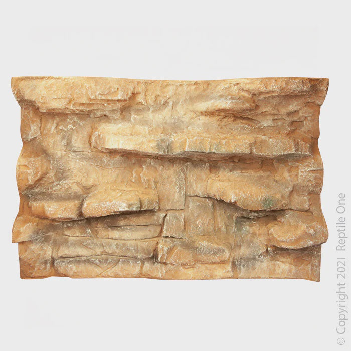 REPTILE ONE COPIROCK BACKGROUND 55 X 55 CM