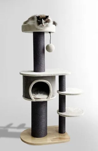 BONO FIDO CAT SCTRACHER CHARLIE 60X48X140