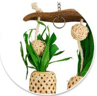 BAINBRIDGE NATURALS PINEAPPLE PARADISE