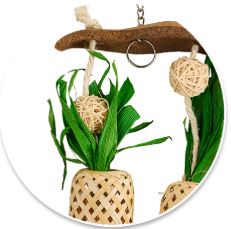 BAINBRIDGE NATURALS PINEAPPLE PARADISE