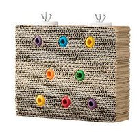 BAINBRIDGE DESTRUCTIVE CARDBOARD TREAT + SEEK