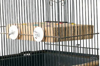 BAINBRIDGE DESTRUCTIVE CARDBOARD TREAT + SEEK