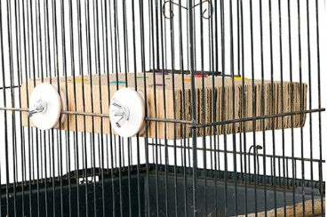 BAINBRIDGE DESTRUCTIVE CARDBOARD TREAT + SEEK