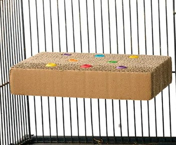 BAINBRIDGE DESTRUCTIVE CARDBOARD TREAT + SEEK