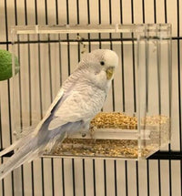 BAINBRIDGE MESS FREE FEEDER S