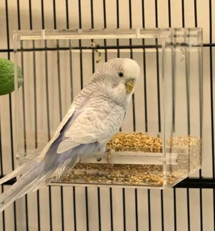 BAINBRIDGE MESS FREE FEEDER S
