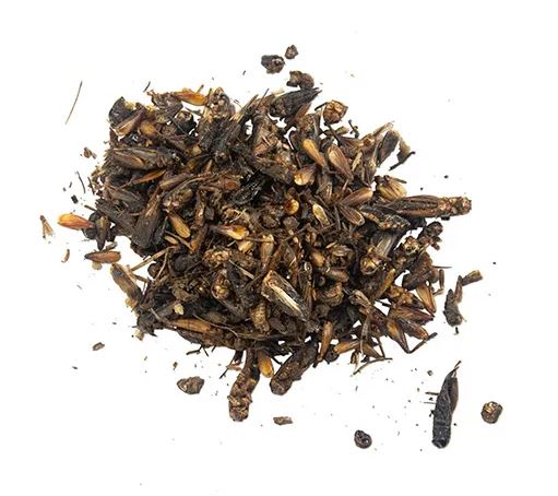 BAINBRIDGE DRIED CRICKETS 100G