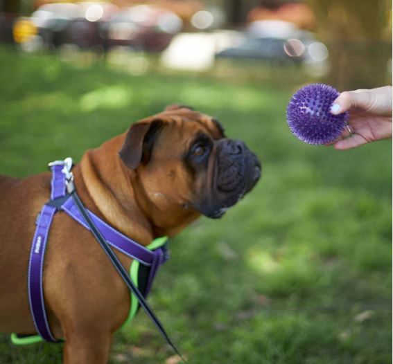 TOUGH-CHEWING SPACE BALL M