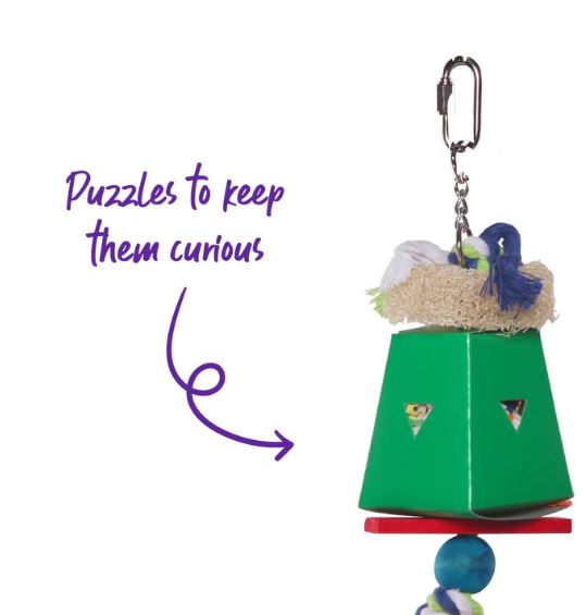 KAZOO DUAL CARDBOARD COLOURED FORAGING BOX