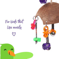 KAZOO SPLIT COCONUT W/ TOYS & SPOONS