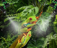 RAIN FOREST SPRAY SYSTEM (MISTER) 