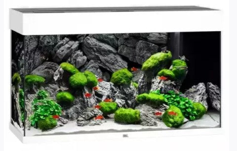 JUWEL RIO 350 LED AQUARIUM WHITE