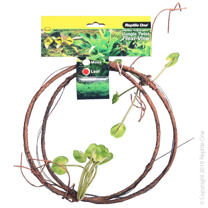 REPTILE ONE PLANT REPTILE VINE JUNGLE TWIST LEAF 1.5M
