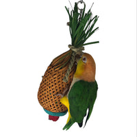 NINOS JAVA PINEAPPLE FORAGE SMALL