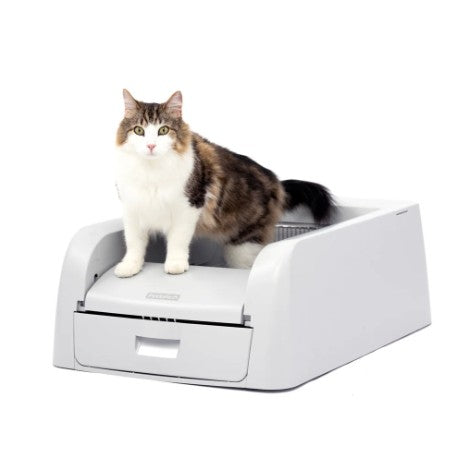 PETSAFE SCOOPFREE CLUMPING SELF-CLEANING LITTER BOX