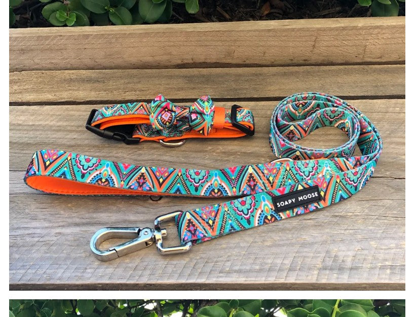 SOAPY MOOSE COLLAR - MOROCCAN SUNRISE M
