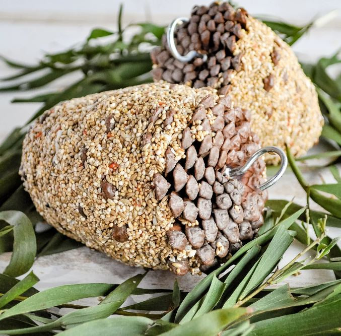FORAGE PINE CONE SMALL