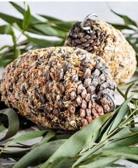 FORAGE PINE CONE LARGE