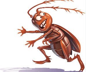 MINIBEASTS WOODIES SMALL 100+