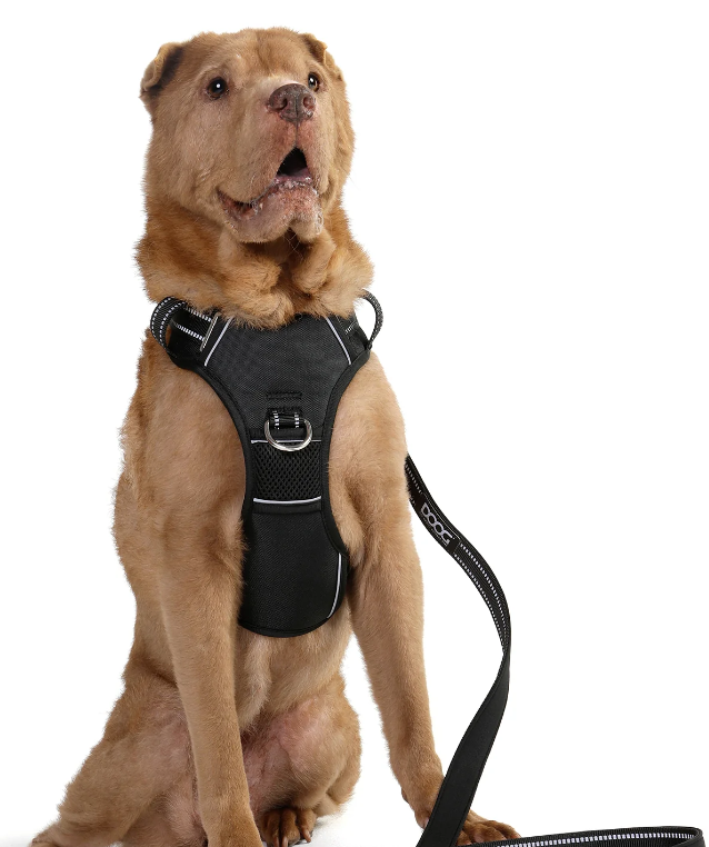 DOOG NEOTECH HARNESS BLACK XL